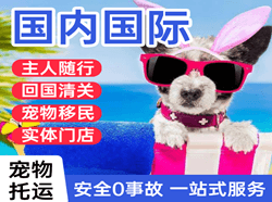 阿拉善左旗巴彦浩特机场托运国际宠物托运 【国